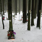Паломническая поездка на Левашовское мемориальное кладбище. Фоторепортаж Марины Хохловой