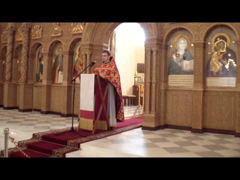 Проповедь иерея Алексия Волчкова в  неделю 5-ю по Пасхе, о самаряныне