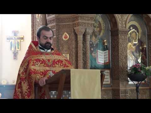 Проповедь протоиерея Александра Сорокина в неделю  5-ю по Пасхе, о самаряныне