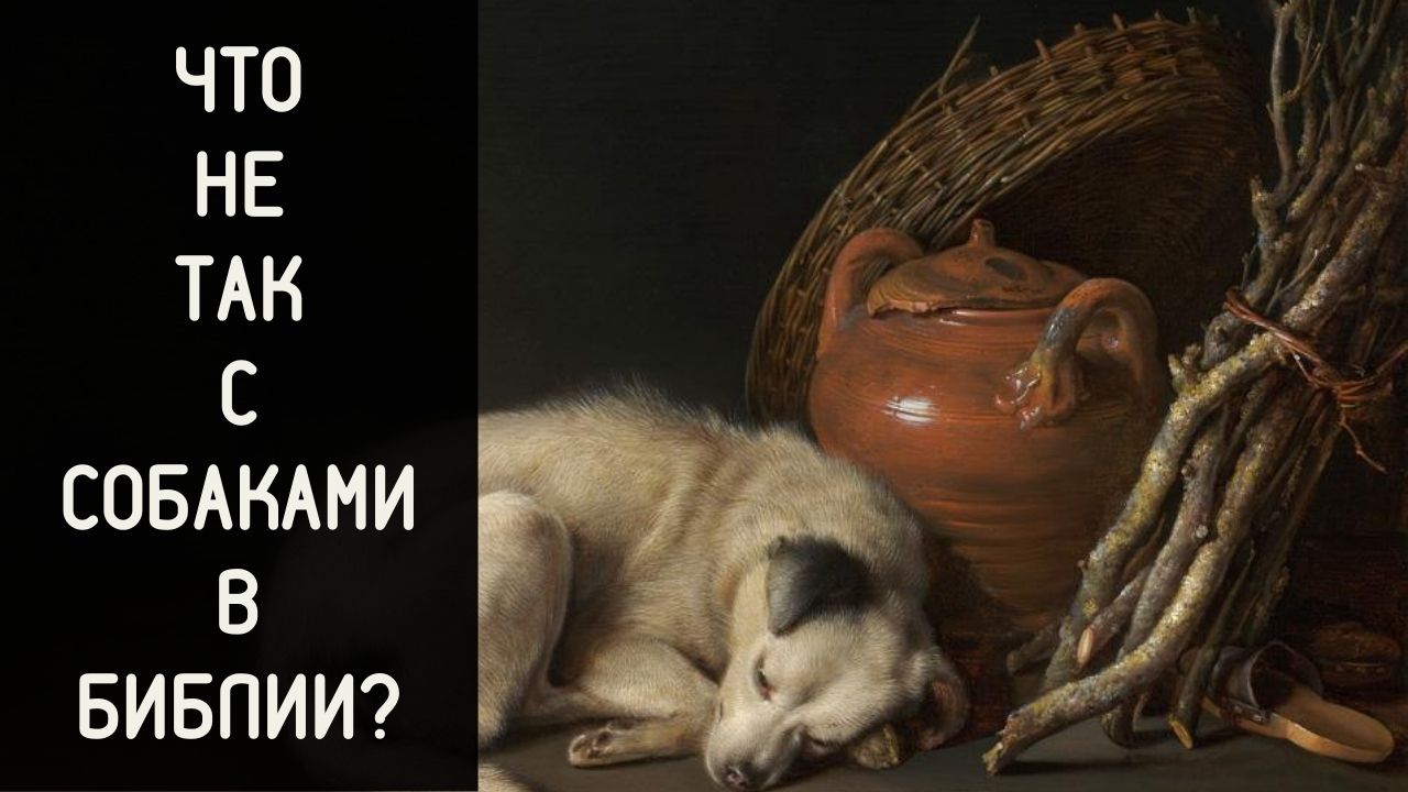 Что не так с собаками в Библии? Лекция священника Алексия Волчкова